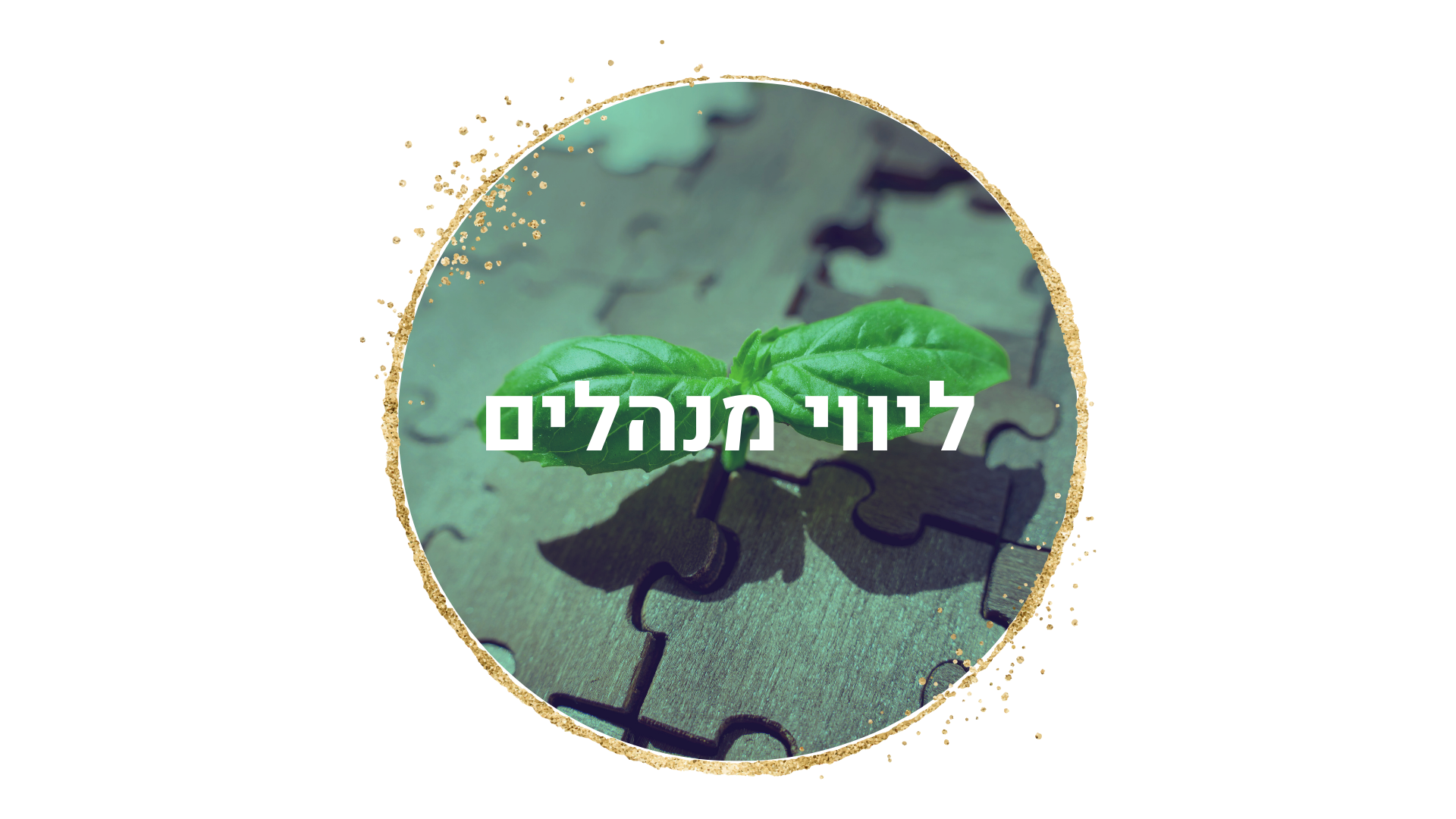 ליווי מנהלים אישי