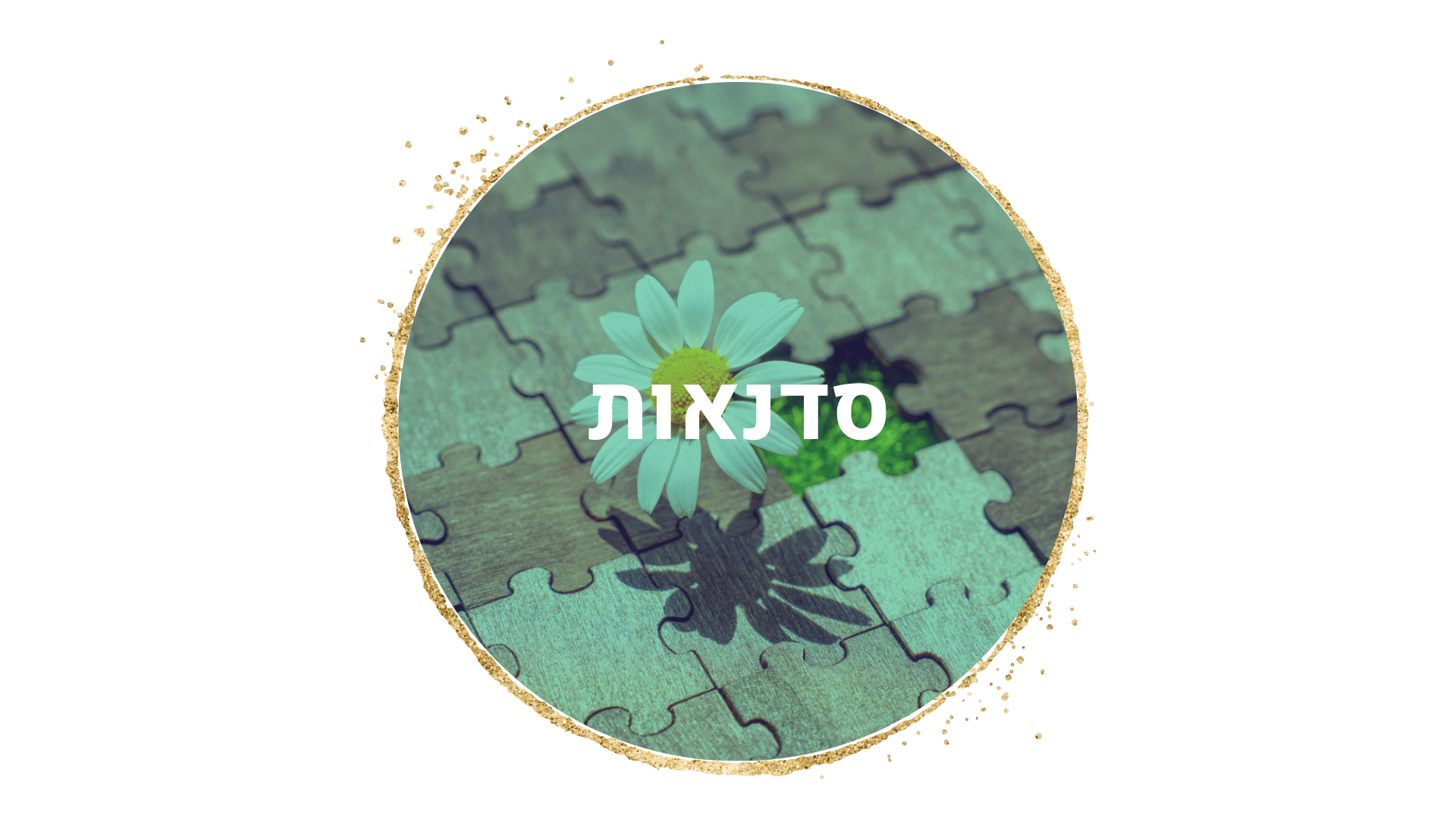 סדנאות מקצועיות